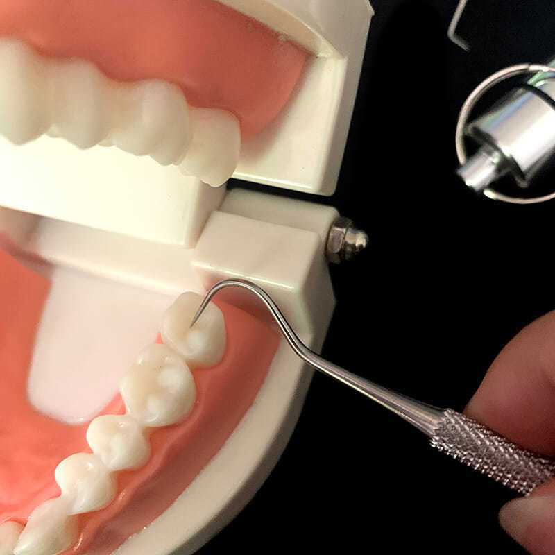 Selfdent™ tandenstokers set - Altijd en overal zelf zorgen voor een frisse mond